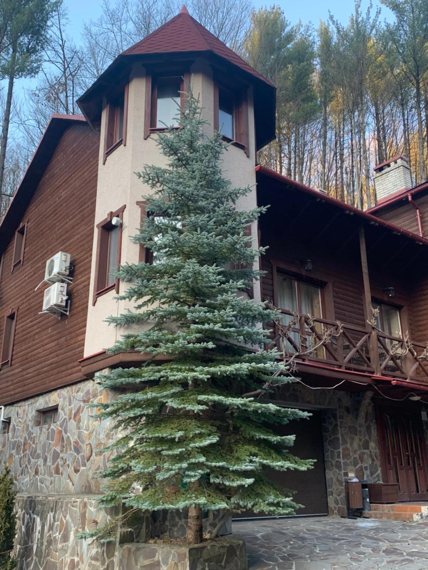 Elf-Cottage Tur'ya Paseka Екстериор снимка